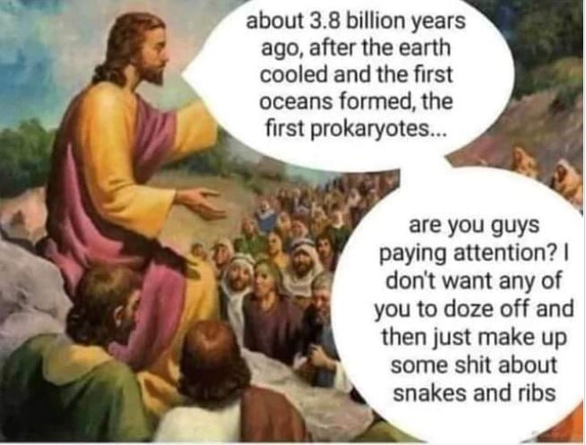 prokaryotes.jpg