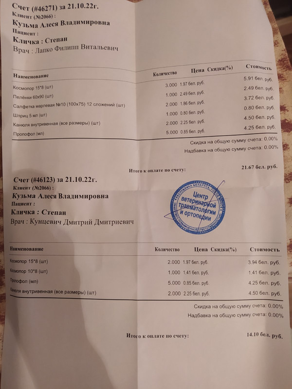 изображение_viber_2022-11-10_16-45-43-661