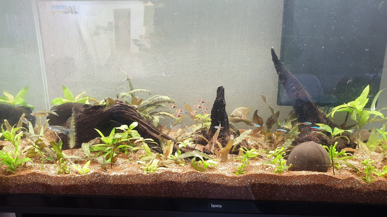 Aquarium