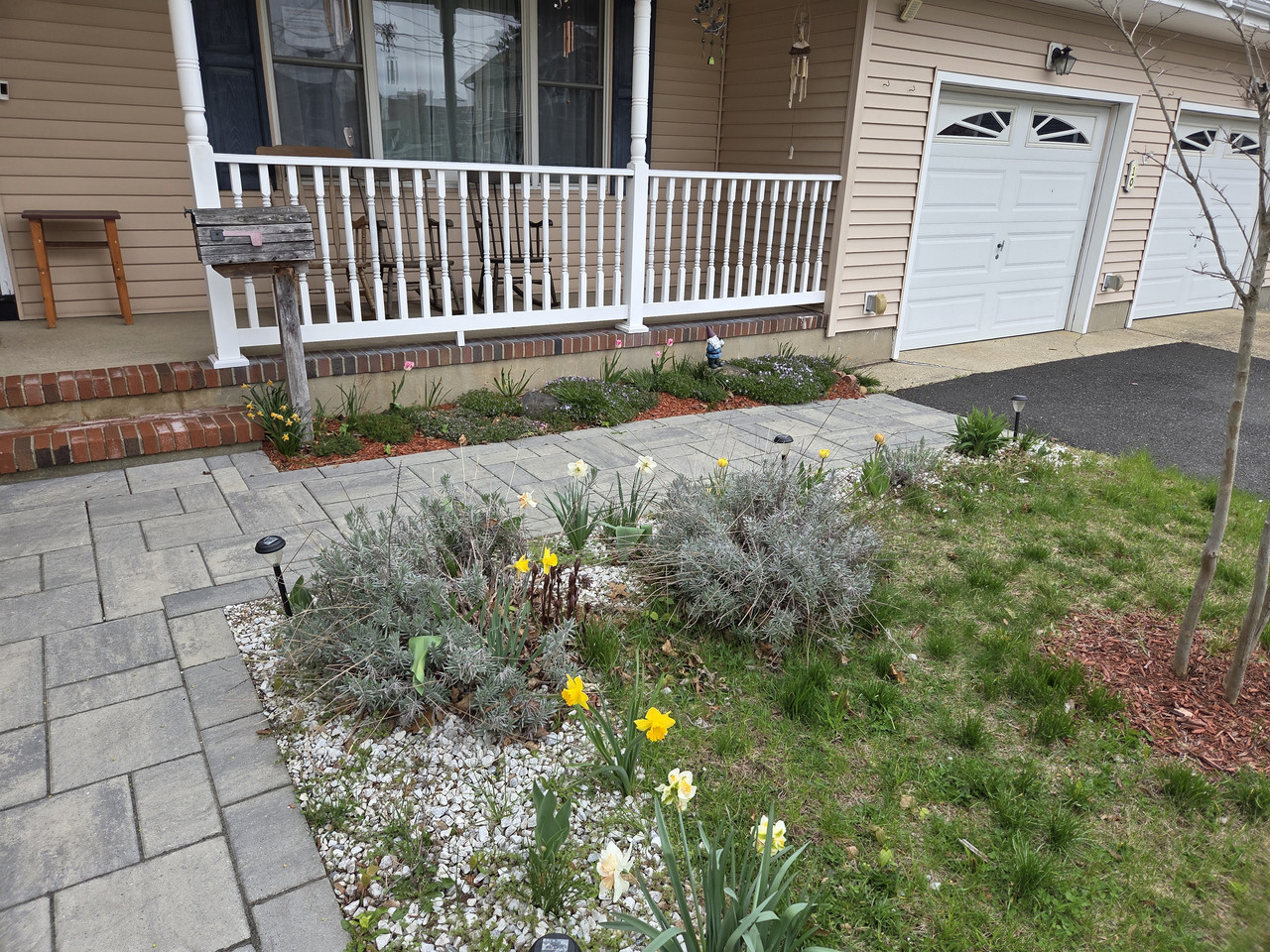 Front flowers 20260413