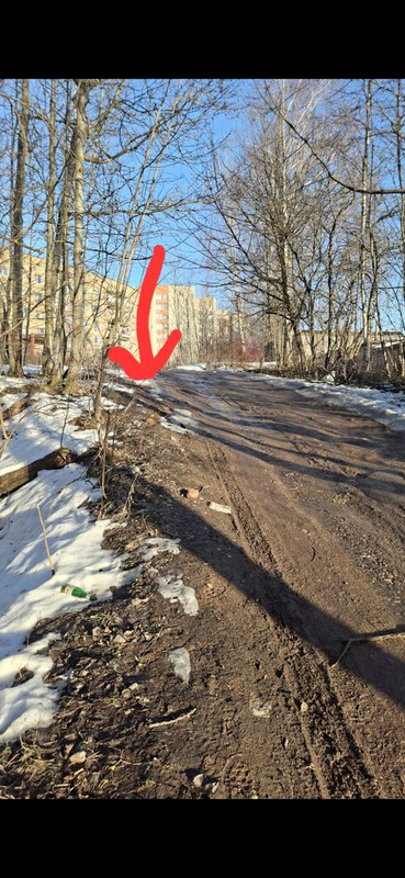 Screenshot 20260314 181644 Gallery