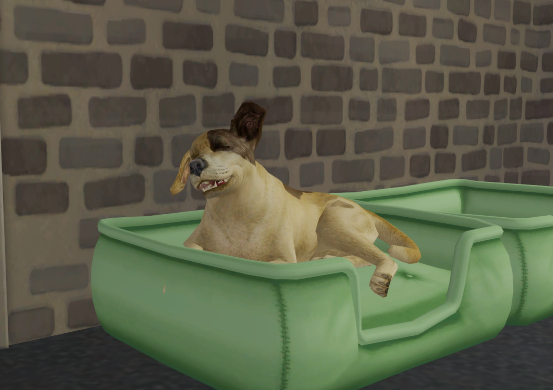 Sims2-EP9-RPC-2023-10-01-14-10-59-90