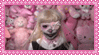 jazmine bean stamp