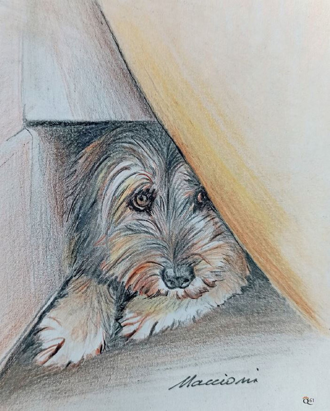 QuattroZampe Apr 2022 (8)