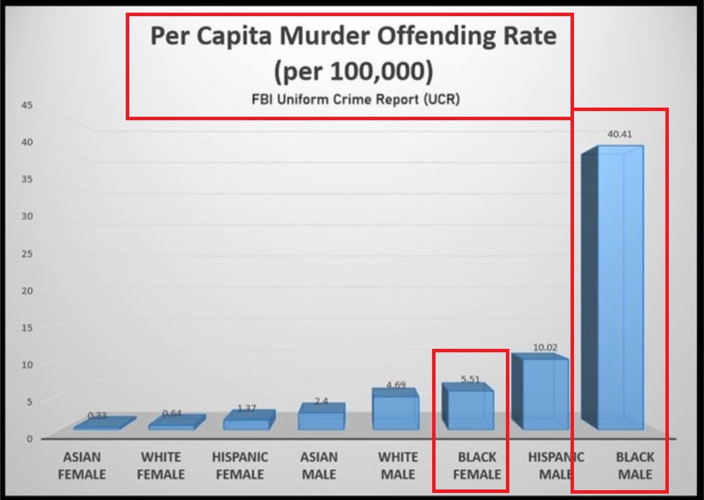Murder rate by race gender