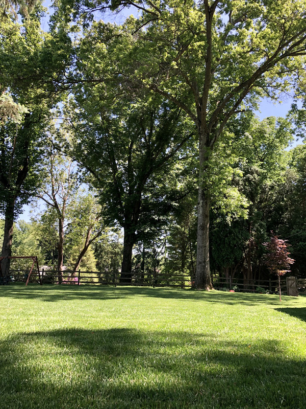 E3065759-81E9-461D-961A-81A5FC75B51F