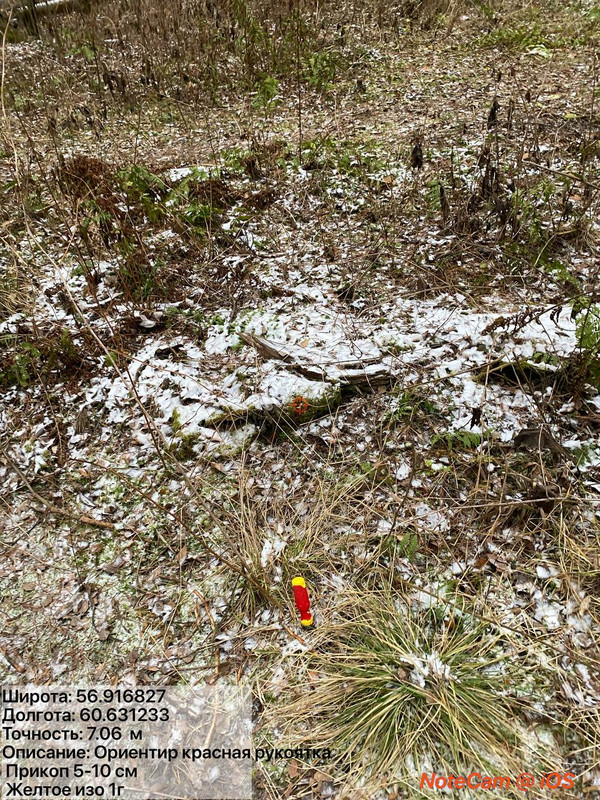 photo 2025 12 06 14 38 25