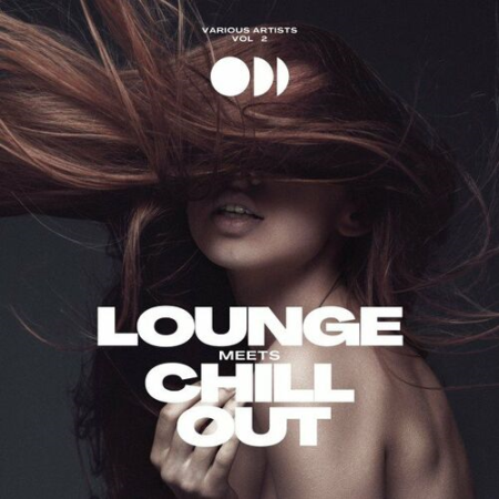 VA - Lounge Meets Chill Out Vol.2 (2023)