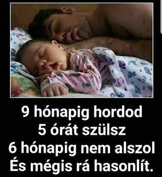 https://i.postimg.cc/wvRh2CmS/9honapig.jpg