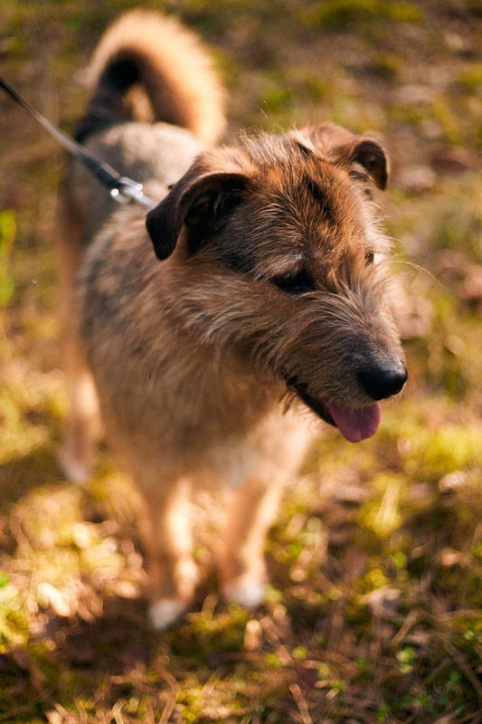 photo 2025 11 27 22 29 44 (3)