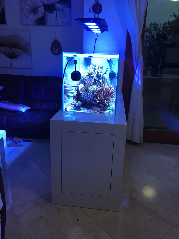 11FCA173-7051-417D-9821-C381174712CD