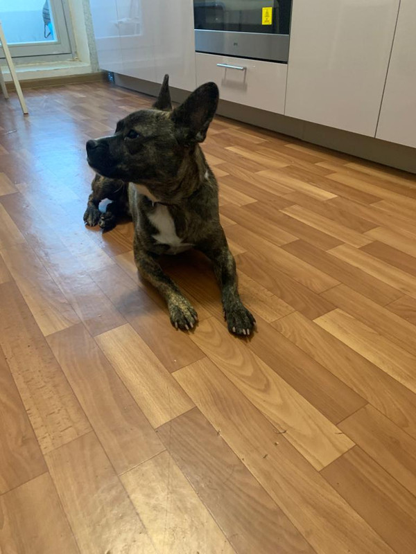 E3B014FF-D6DF-494A-A308-DF17649FF455