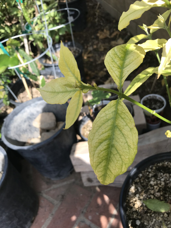 8C1368E0-EBCB-4E17-B2C5-1B64E6B48EF1