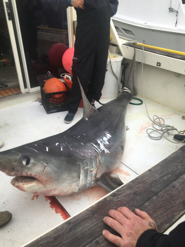 B517C778-FF19-4E41-B0BB-9165B54DBFDF