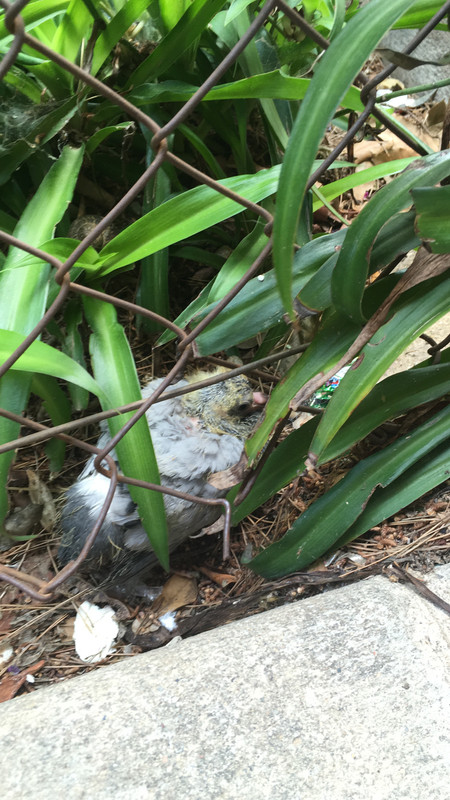 2DBA675E-BD4E-4B3D-8810-04AB8D61AF1F