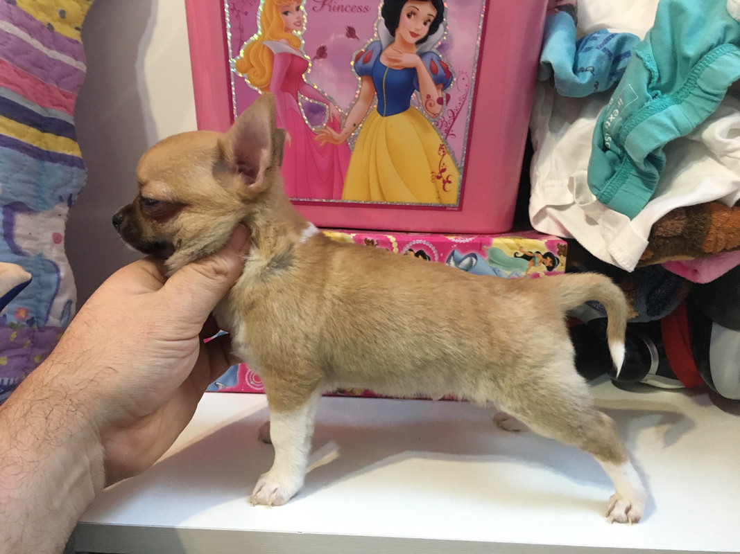 C382E979-D8C7-4896-84AB-7AF3E36414F4