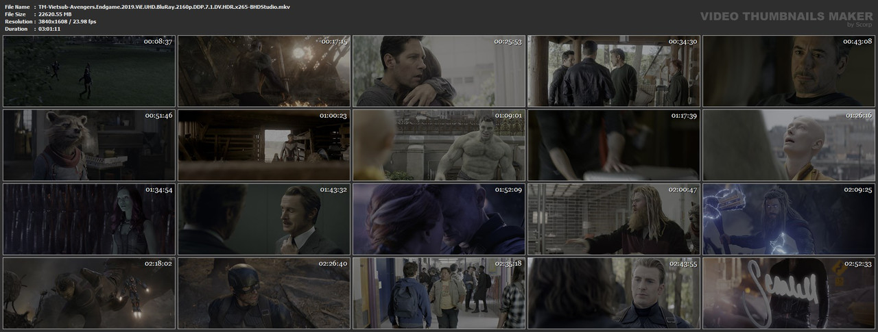TM-Vietsub-Avengers-Endgame-2019-Vi-E-UHD-Blu-Ray-2160p-DDP-7-1-DV-HDR-x265-BHDStudio-mkv.jpg