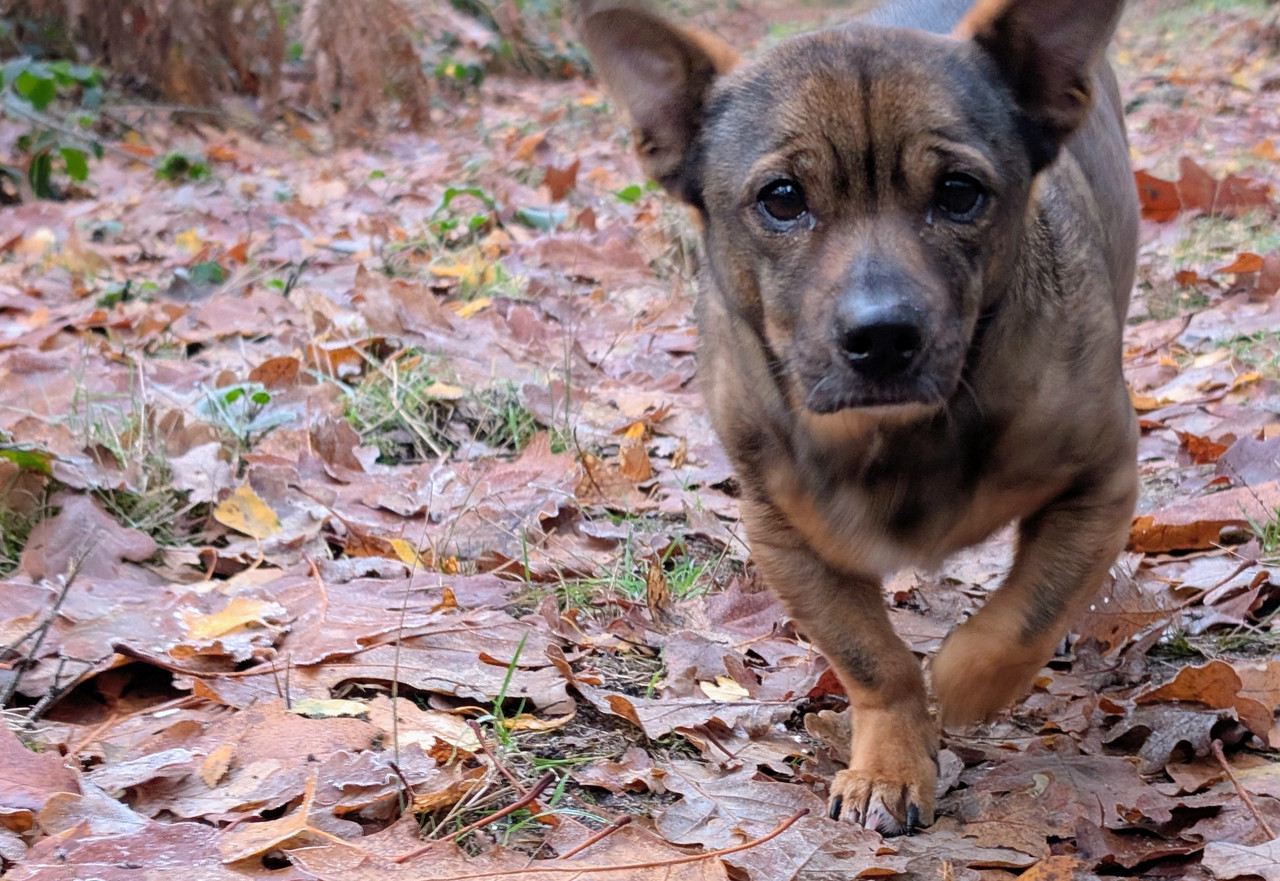 PXL 20251122 075610096 2