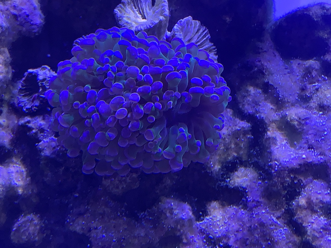 CC17CF41-30D0-4879-BB22-73D22A47667B