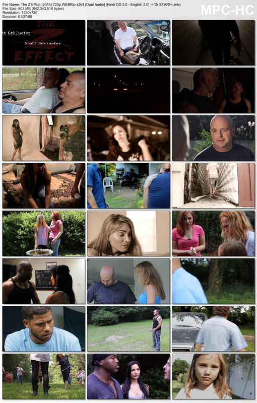 The Z Effect (2016) 720p WEBRip Thumbs