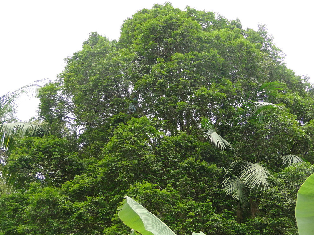 DSC01760