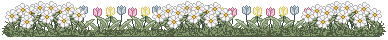 flower bed