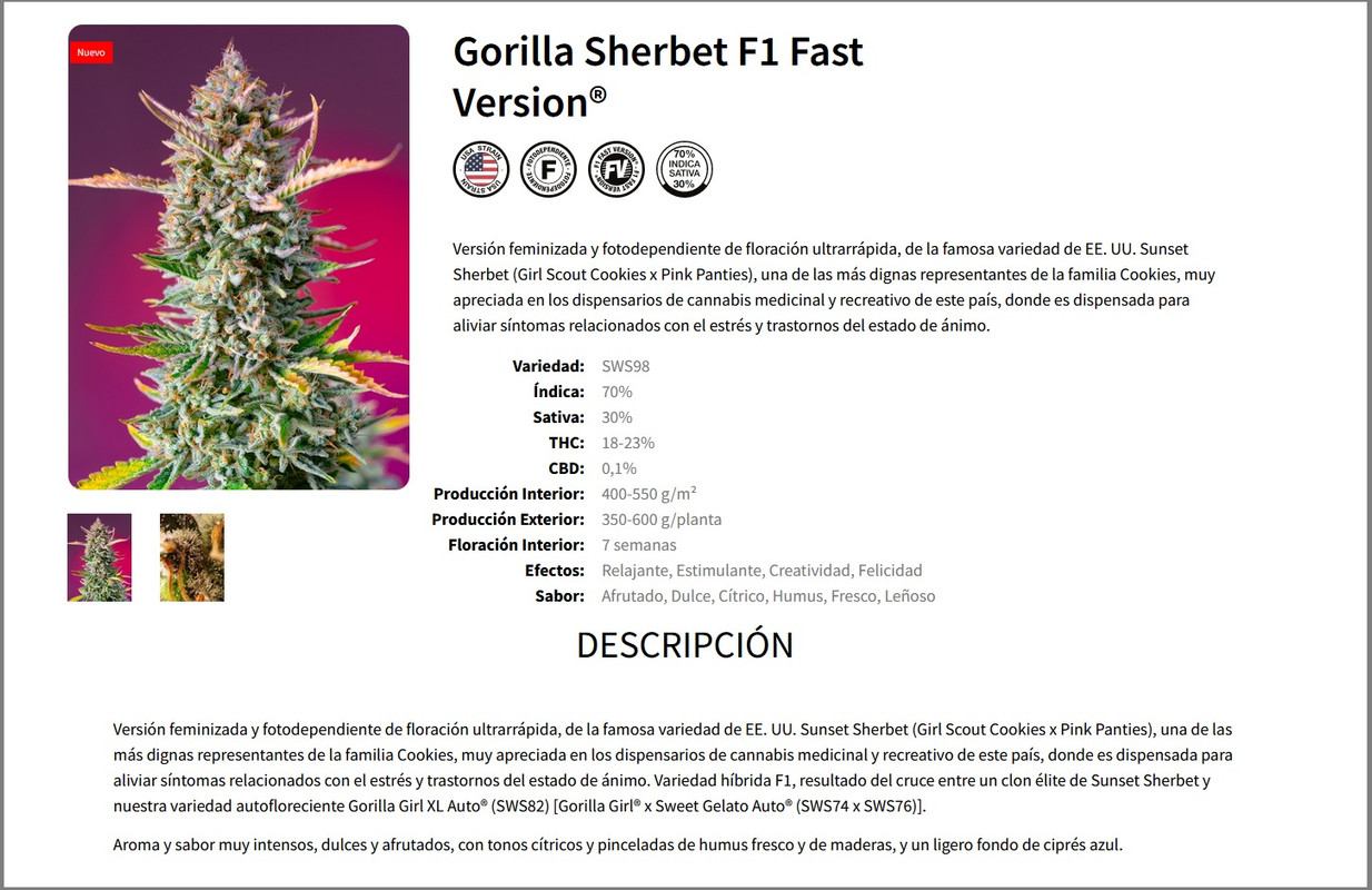 GORILLA-SHERBET.jpg