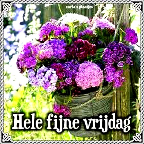 images-(1)