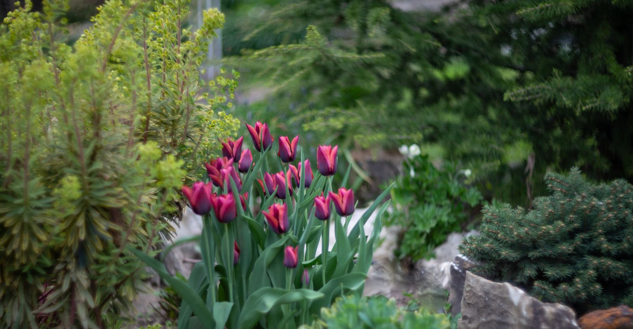 IMG-6e518253f50287fb1f6918ad339f5f73-V