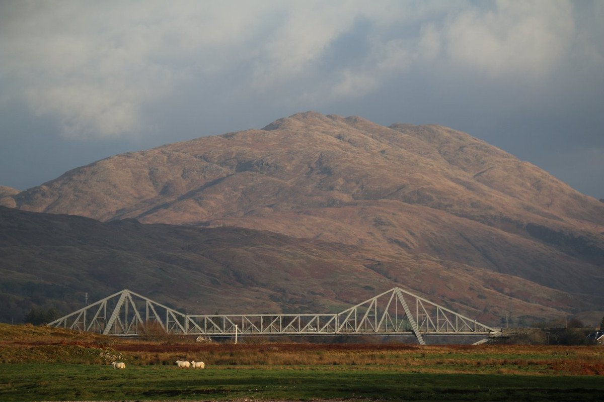 B97A7183-B21C-4338-85E8-A2ADED7589CB