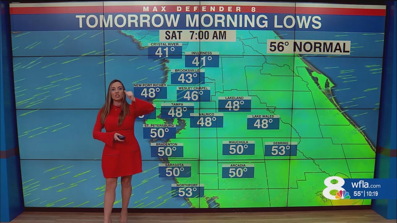 NewsChannel 8 News at 1000pm_20250222_03000330.ts_snapshot_19.52.823