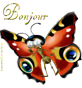 Jeudi 6 Juin 2019... BONJOUR-PAPILLON-ANIM