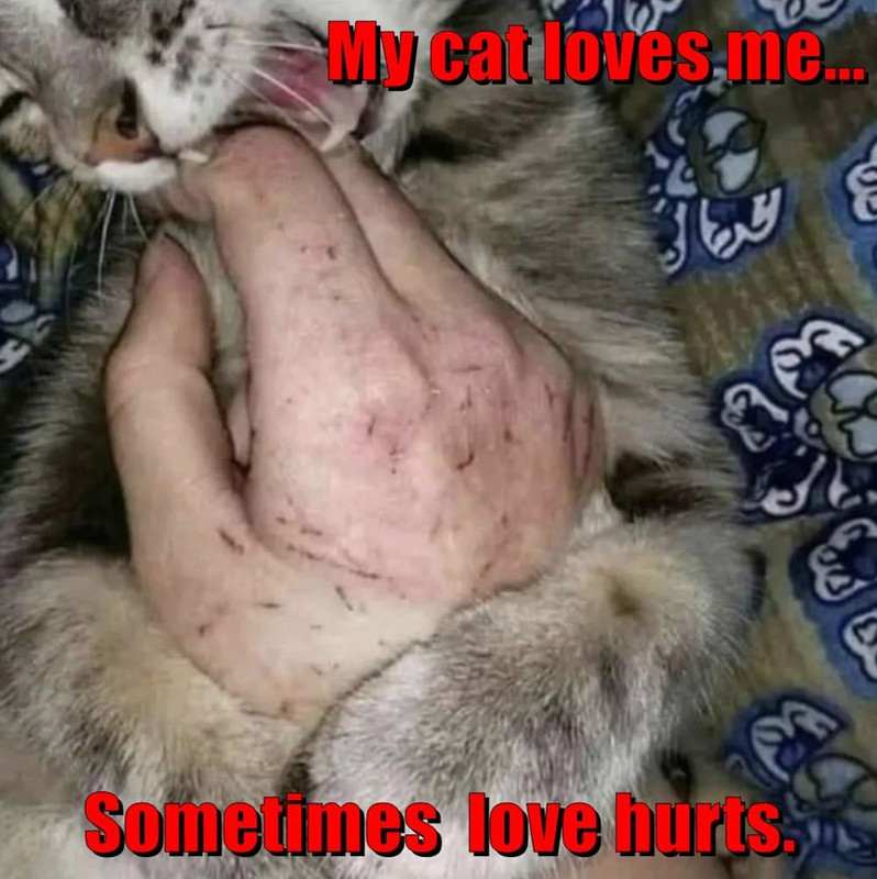 price-of-love