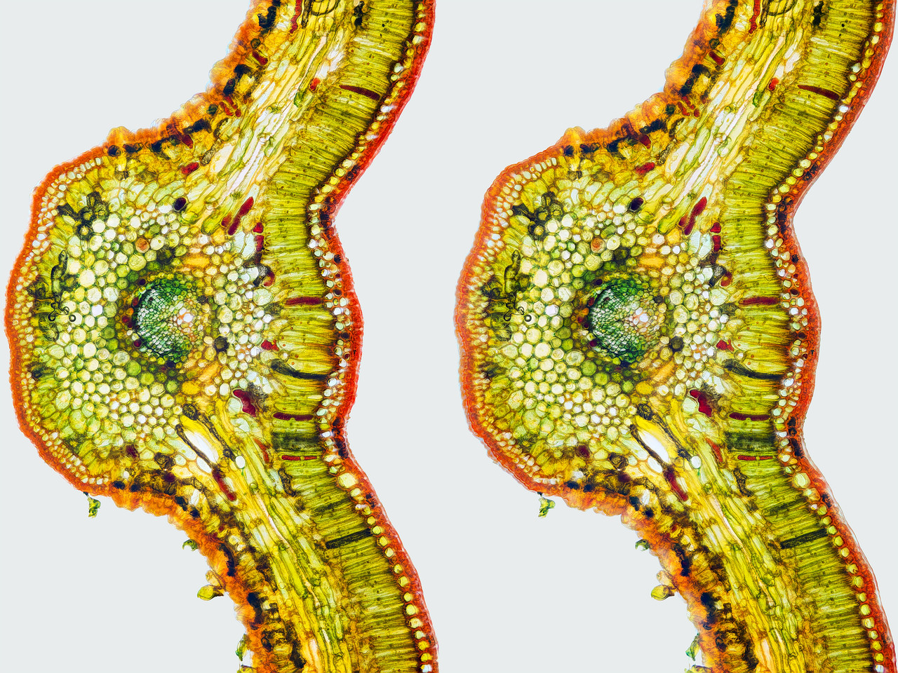 Stereo 2 6 Cross TPnd 4K