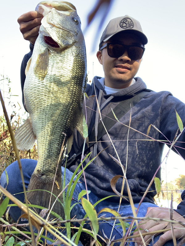 IMG-3773.jpg