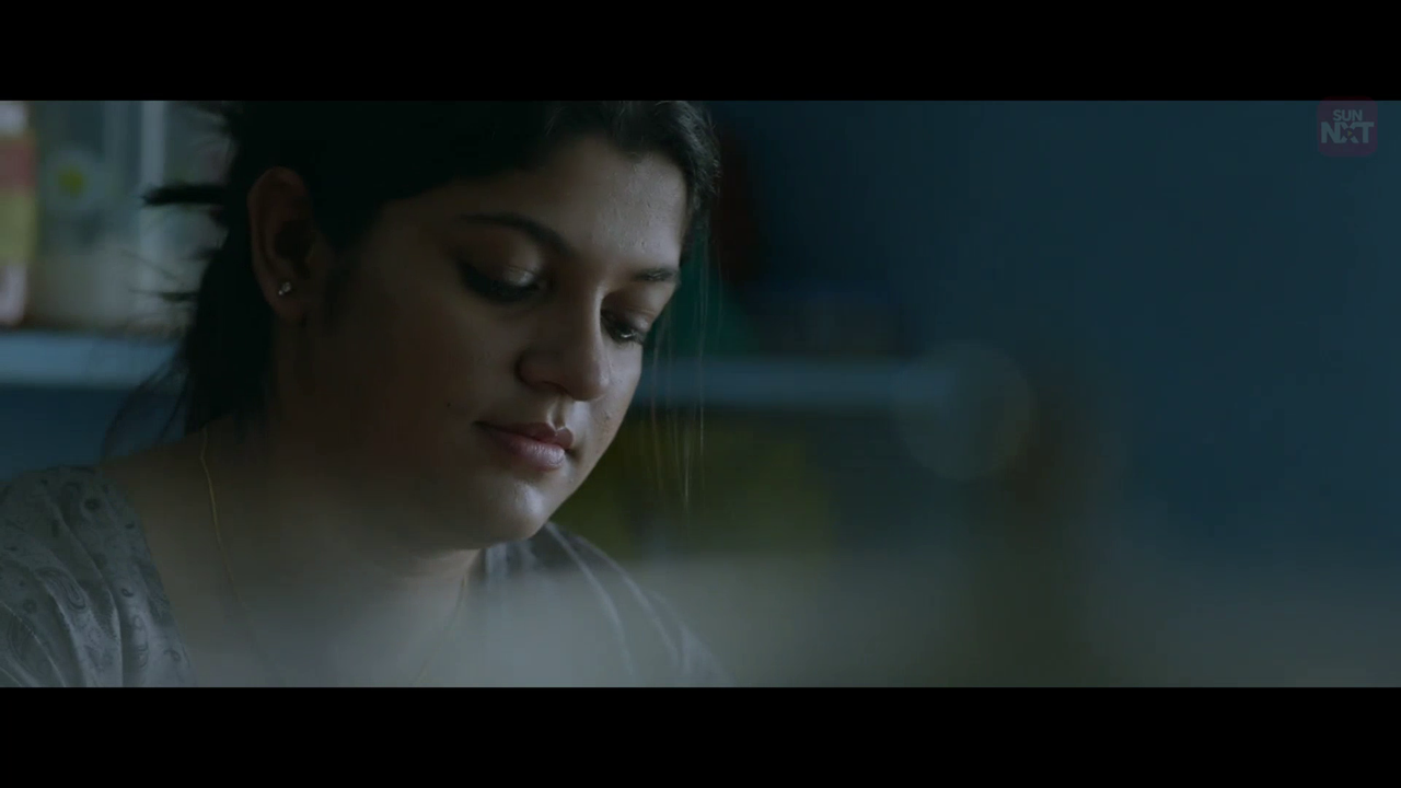 vlcsnap 2026 02 11 15h39m04s911