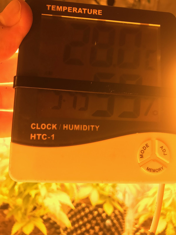 66331C72-0D4F-4F8B-A416-7347A72FE25A