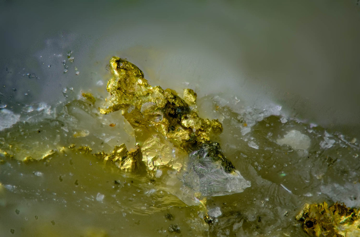 oro_bourneix_40