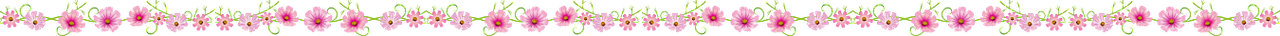 https://i.postimg.cc/wvX3skMW/1350.png