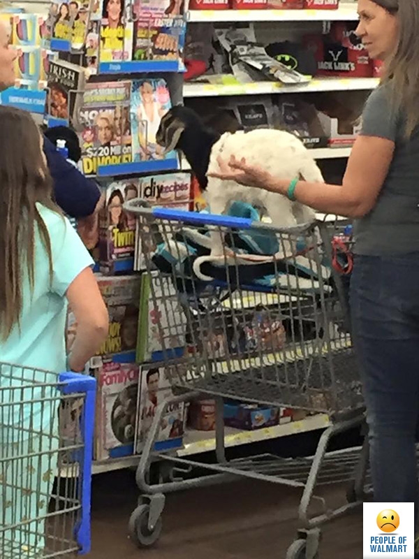 Спятившая Америка или неадекватные покупатели американских супермаркетов