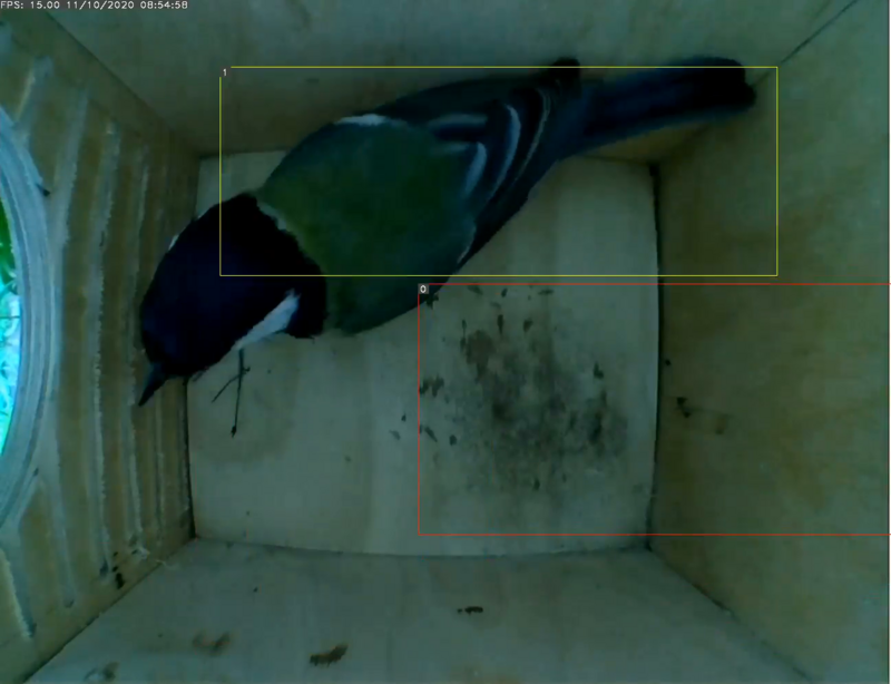 Untitled Project (Time 0_00_09;25)