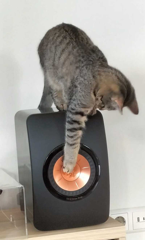 [Bild: katze2.jpg]