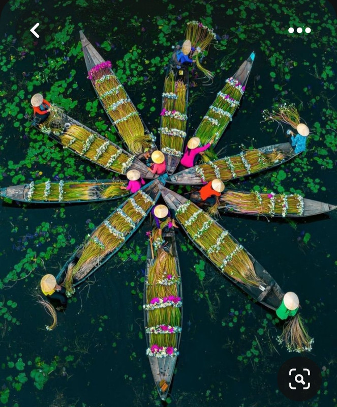 Screenshot_20230614_001605_Pinterest