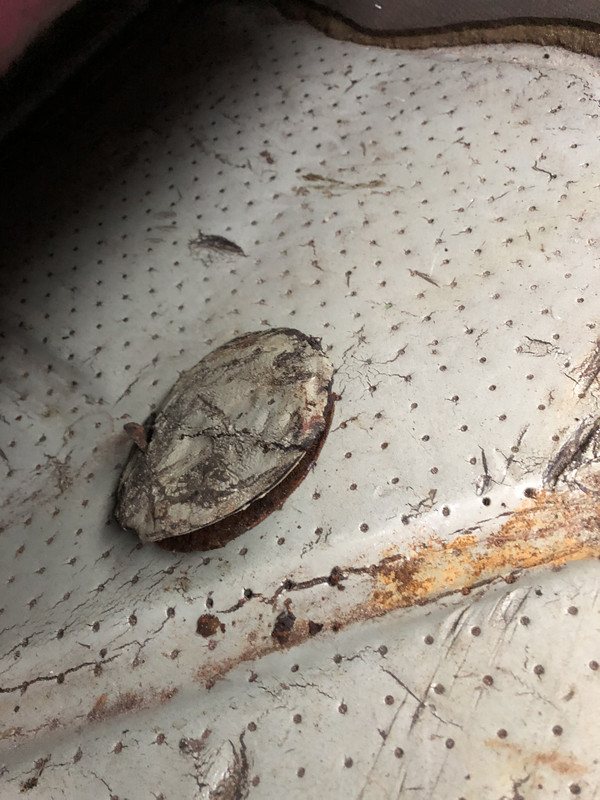 387BE162-43D1-4090-98FD-5559666B6FBB