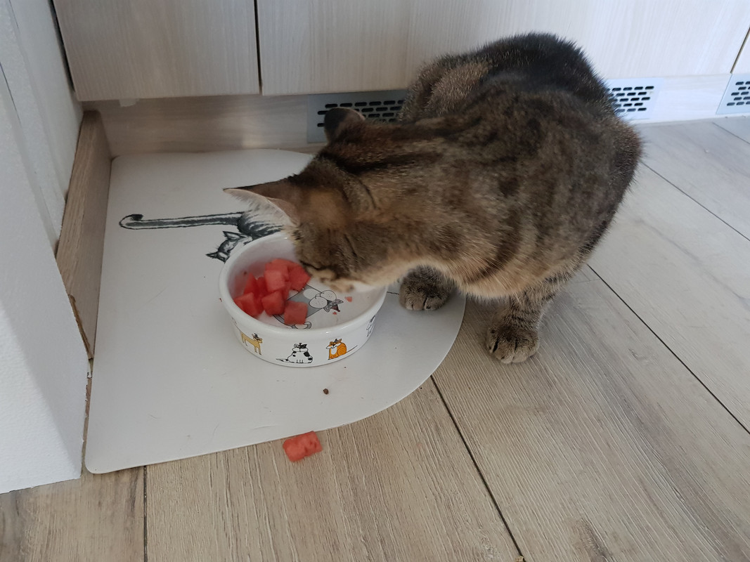 20190604-195555.jpg