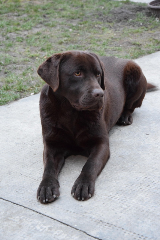 Whats-App-Image-2021-03-09-at-12-41-16.j