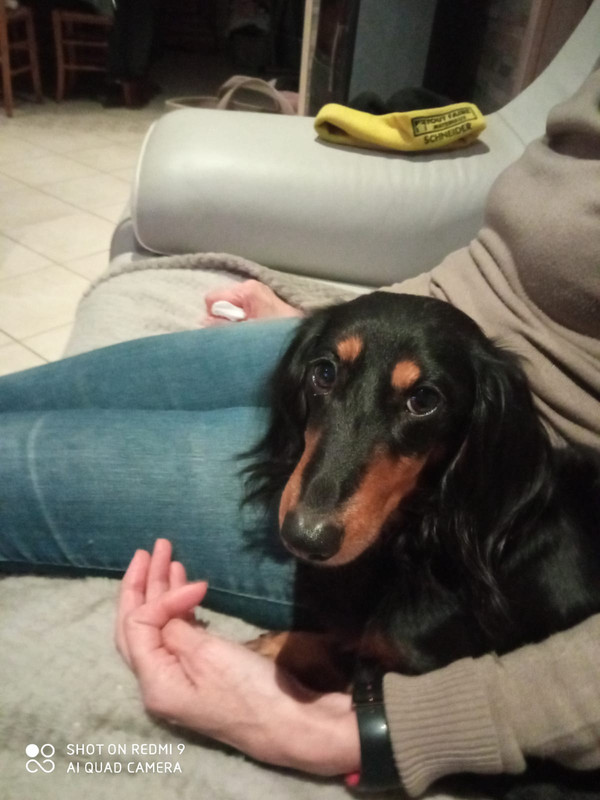 [Image: IMG-20241229-WA0003.jpg]