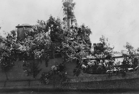 [GÉNÉRIQUE] Les monitors / canonnières/ Dragueurs en photos  - Page 2 HNLMS-Abraham-Crijnssen-Covered-In-Branches