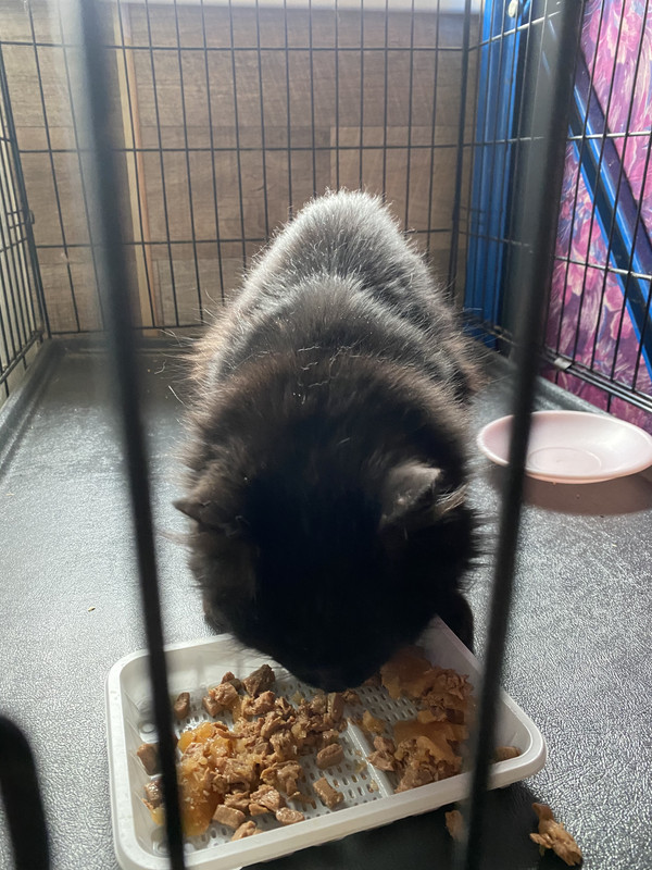 FC278DFD-9BCC-4533-ADF0-C85B60193C29