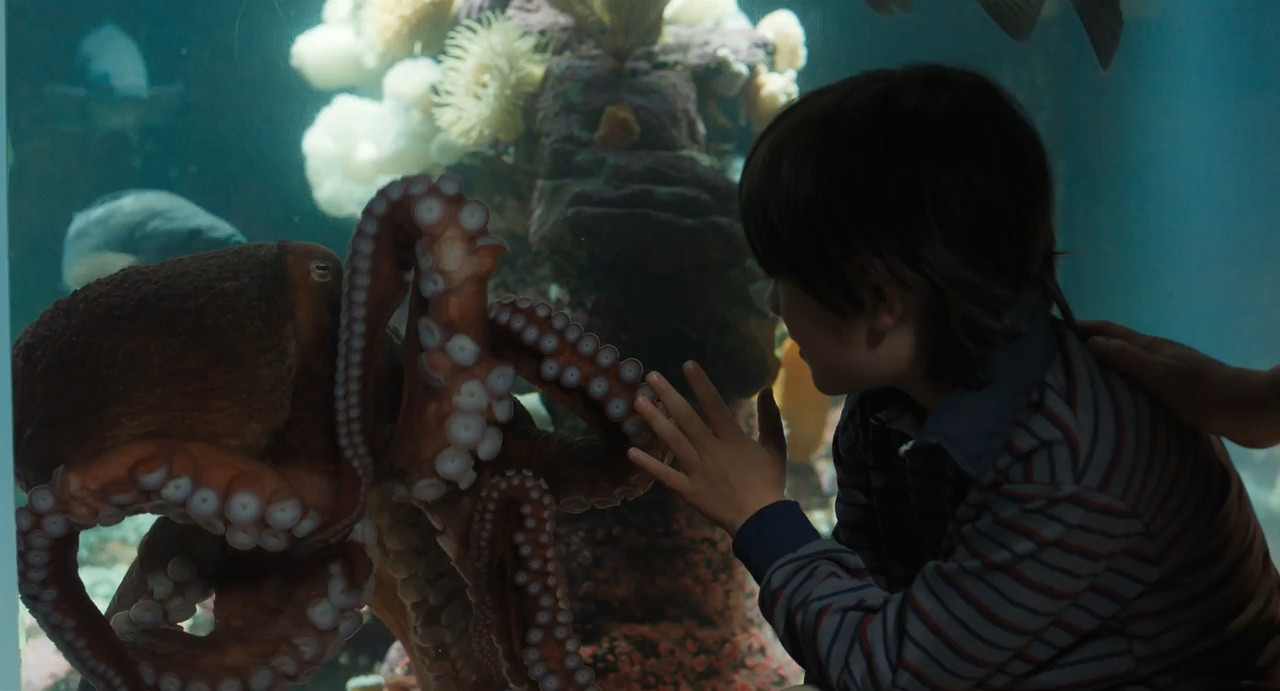 Remarkably Bright Creatures 2026 WebRip [Hindi + English] 480p 720p ESub Screenshot